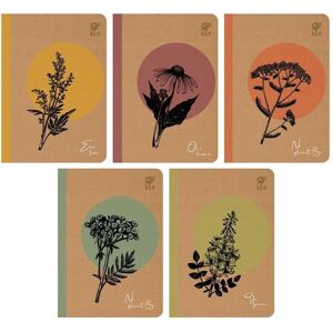 Elanders, Cahier + bloc-notes, Notizbuch A5/80K kariert By Nature - One Herb (10 Stück) (A5) - Publicité Elanders, Cahier + bloc-notes, Notizbuch A5/80K kariert By Nature - One Herb (10 Stück) (A5) - Publicité
