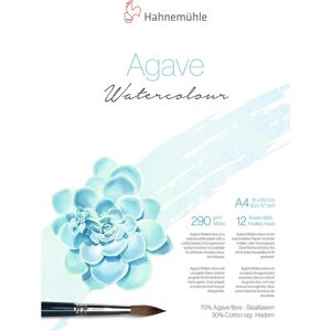 Hahnemühle Photo Cahier + bloc-notes, Agave Watercolour A 4 12 feuilles 290 g (A4) - Publicité Hahnemühle Photo Cahier + bloc-notes, Agave Watercolour A 4 12 feuilles 290 g (A4) - Publicité