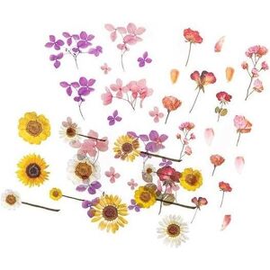 Dalprint, Autocollants, Transparente Blumenaufkleber aus PVC (49 Autocollants) - Publicité Dalprint, Autocollants, Transparente Blumenaufkleber aus PVC (49 Autocollants) - Publicité