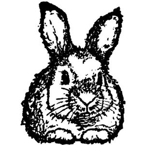 Rayher, Tampon encreur, Tampon en bois "petit lapin - Publicité Rayher, Tampon encreur, Tampon en bois "petit lapin - Publicité