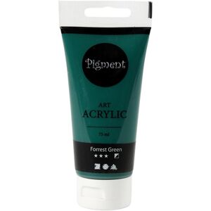 Creativ Company, Peinture loisirs créatifs, Pigment Art Vernis Acrylique Forrest Groen, 75ml (75 ml) - Publicité Creativ Company, Peinture loisirs créatifs, Pigment Art Vernis Acrylique Forrest Groen, 75ml (75 ml) - Publicité