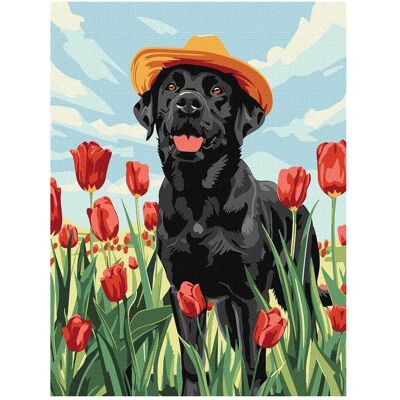 Norimpex Malen nach Zahlen - Entzückender Labrador - Publicité Norimpex Malen nach Zahlen - Entzückender Labrador - Publicité