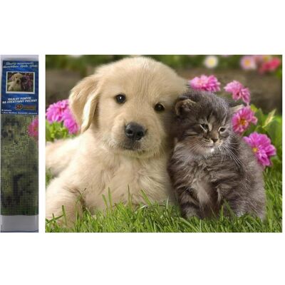 Norimpex Diamond Gemälde Hund mit Katze 30x40cm - Publicité Norimpex Diamond Gemälde Hund mit Katze 30x40cm - Publicité
