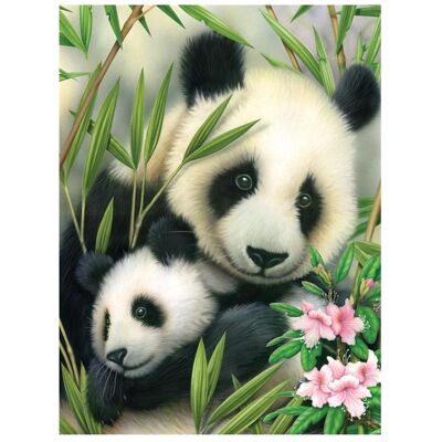 Pracht Peinture par numéros - Junior "Panda", tableau DIY d'environ 33 x 24 cm, y compris 7 couleurs - Publicité Pracht Peinture par numéros - Junior "Panda", tableau DIY d'environ 33 x 24 cm, y compris 7 couleurs - Publicité