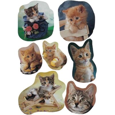 Herma, Autocollants, Sticker Chats (21 Autocollants) - Publicité Herma, Autocollants, Sticker Chats (21 Autocollants) - Publicité
