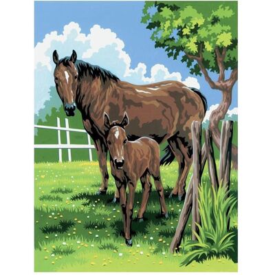 Magni PRACHT Peinture par numéros Junior Jument 33 x 24 cm - Publicité Magni PRACHT Peinture par numéros Junior Jument 33 x 24 cm - Publicité