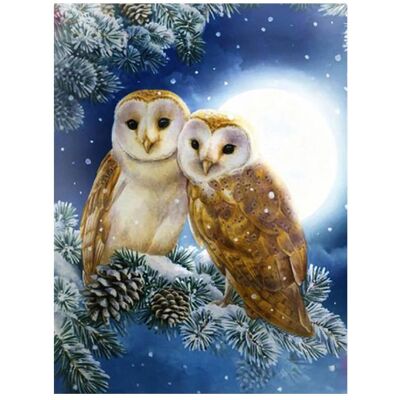 Pracht Diamond Painting 6037-50221 Hiboux 33 x 44 cm - Publicité Pracht Diamond Painting 6037-50221 Hiboux 33 x 44 cm - Publicité