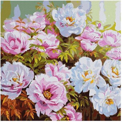 Kit de Peinture Ideyka - Variété de pivoines 50x50cm - Publicité Kit de Peinture Ideyka - Variété de pivoines 50x50cm - Publicité