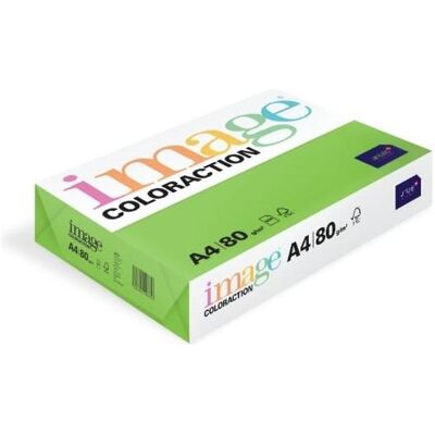 Coloraction Java Papier Couleur A4 - Papier de couleur pour imprimante - 120 g/m², 250 feuilles, vert - Publicité Coloraction Java Papier Couleur A4 - Papier de couleur pour imprimante - 120 g/m², 250 feuilles, vert - Publicité