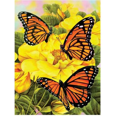Magni Peinture par numéros Junior 33 x 24 cm Monarch - Publicité Magni Peinture par numéros Junior 33 x 24 cm Monarch - Publicité