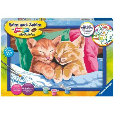 Ravensburger Painting by Numbers 28986 - Chatons en peluche - Enfants de 11 ans et plus - Publicité Ravensburger Painting by Numbers 28986 - Chatons en peluche - Enfants de 11 ans et plus - Publicité
