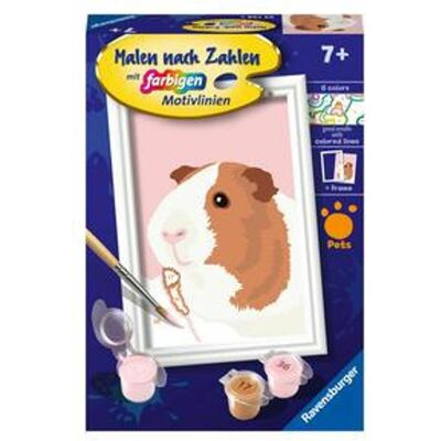 Ravensburger Peinture par numéros 23758 - Mignon cochon d'Inde - Enfants à partir de 7 ans - Publicité Ravensburger Peinture par numéros 23758 - Mignon cochon d'Inde - Enfants à partir de 7 ans - Publicité