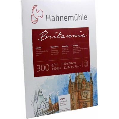 Papier d'art Hahnemühle 10628981 - 12 feuilles - Publicité Papier d'art Hahnemühle 10628981 - 12 feuilles - Publicité