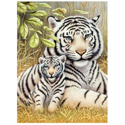 Pracht Peinture par numéros - Junior "Tigres blancs", tableau DIY d'environ 33 x 24 cm, 7 couleurs - Publicité Pracht Peinture par numéros - Junior "Tigres blancs", tableau DIY d'environ 33 x 24 cm, 7 couleurs - Publicité
