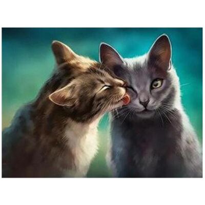 Magni Diamond Painting Amour de chat 40x30cm - Publicité Magni Diamond Painting Amour de chat 40x30cm - Publicité
