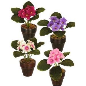 Plantes artificielles, Künstliche Pflanze Im Topf Cape Violet 16 Cm 4 Srt - Publicité Plantes artificielles, Künstliche Pflanze Im Topf Cape Violet 16 Cm 4 Srt - Publicité