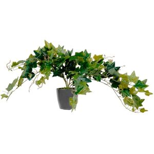 Plante artificielle PAPERFLOW EFEU - Vert - 80cm - Intérieur/Extérieur - Publicité Plante artificielle PAPERFLOW EFEU - Vert - 80cm - Intérieur/Extérieur - Publicité