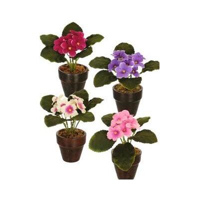 Plantes artificielles, Künstliche Pflanze Im Topf Cape Violet 16 Cm 4 Srt - Publicité Plantes artificielles, Künstliche Pflanze Im Topf Cape Violet 16 Cm 4 Srt - Publicité