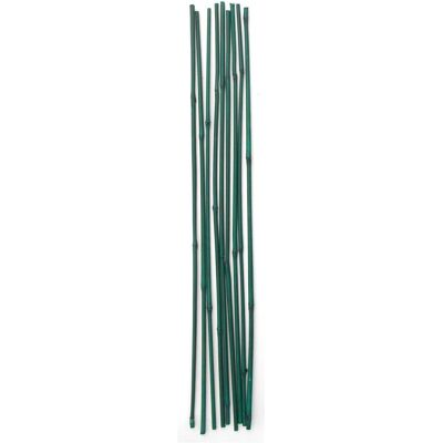 Garden Center, Plantes : accessoires, Stick for plant support, 60 cm x 1.5 cm x 0.6-0.8 cm, 25 pcs (60 cm, 1.50 cm) - Publicité Garden Center, Plantes : accessoires, Stick for plant support, 60 cm x 1.5 cm x 0.6-0.8 cm, 25 pcs (60 cm, 1.50 cm) - Publicité
