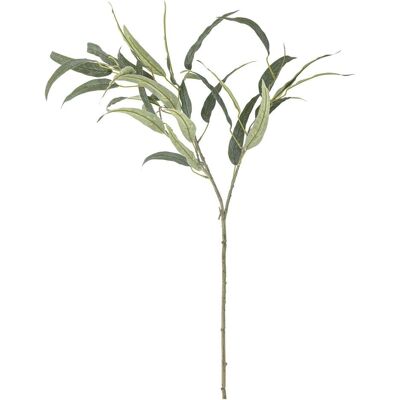 Bloomingville, Plantes artificielles, Eucalyptus (85 cm) - Publicité Bloomingville, Plantes artificielles, Eucalyptus (85 cm) - Publicité