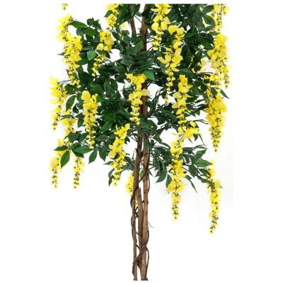 Europalms, Plantes artificielles, Pluie d'or, plante artificielle, jaune, 180cm (180 cm) - Publicité Europalms, Plantes artificielles, Pluie d'or, plante artificielle, jaune, 180cm (180 cm) - Publicité
