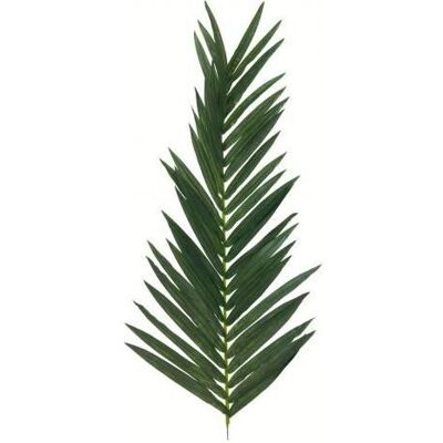 Europalms, Plantes artificielles, Tige de coco royale, artificielle, 150cm - Publicité Europalms, Plantes artificielles, Tige de coco royale, artificielle, 150cm - Publicité