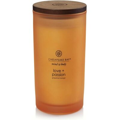 Chesapeake Bay Candles, Bougie parfumée, Pamplemousse Mangue - Publicité Chesapeake Bay Candles, Bougie parfumée, Pamplemousse Mangue - Publicité