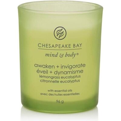 Chesapeake Bay Candles, Bougie parfumée, Citronnelle/Eucalyptus - Publicité Chesapeake Bay Candles, Bougie parfumée, Citronnelle/Eucalyptus - Publicité