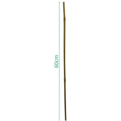 ProGarden, Plantes : accessoires, Bamboo Plant Support 60 cm 10 Pcs (60 cm) - Publicité ProGarden, Plantes : accessoires, Bamboo Plant Support 60 cm 10 Pcs (60 cm) - Publicité