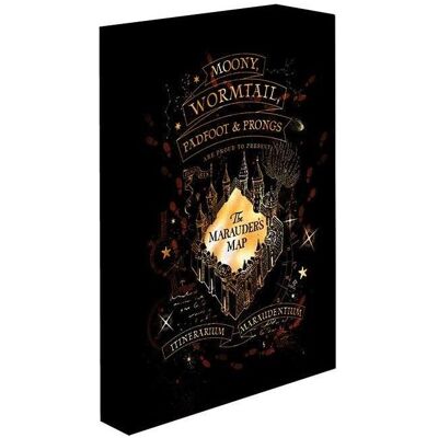 Toile Lumineuse Marauders Map 30x40 - Harry Potter - Publicité Toile Lumineuse Marauders Map 30x40 - Harry Potter - Publicité