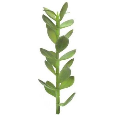 Europalms, Plantes artificielles, Pousse d'arbre à argent, plante artificielle, 30cm (30 cm) - Publicité Europalms, Plantes artificielles, Pousse d'arbre à argent, plante artificielle, 30cm (30 cm) - Publicité