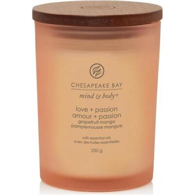 Chesapeake Bay Candles, Bougie parfumée, Pamplemousse Mangue (250 g) - Publicité Chesapeake Bay Candles, Bougie parfumée, Pamplemousse Mangue (250 g) - Publicité