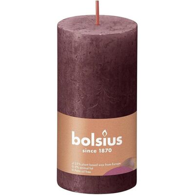 Bougie Bolsius Rustiko Shine Rouge Velours - 8 pcs - Publicité Bougie Bolsius Rustiko Shine Rouge Velours - 8 pcs - Publicité