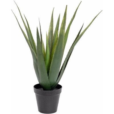 Europalms, Plantes artificielles, Aloe-Vera (60 cm) - Publicité Europalms, Plantes artificielles, Aloe-Vera (60 cm) - Publicité