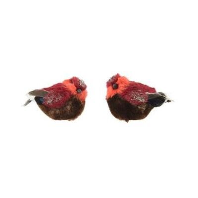 Kaemingk, Décorations de sapin de Noël, Oiseau en fausse fourrure Sur Clip 2Assl.7Cmxb.11Cmxh.8Cm (2x) - Publicité Kaemingk, Décorations de sapin de Noël, Oiseau en fausse fourrure Sur Clip 2Assl.7Cmxb.11Cmxh.8Cm (2x) - Publicité