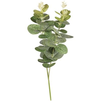 Rayher, Plantes artificielles, Branche d'eucalyptus plastique (5 cm) - Publicité Rayher, Plantes artificielles, Branche d'eucalyptus plastique (5 cm) - Publicité