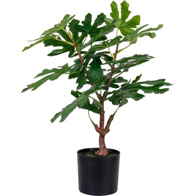 House Nordic, Plantes artificielles, Fig (60 cm) - Publicité House Nordic, Plantes artificielles, Fig (60 cm) - Publicité