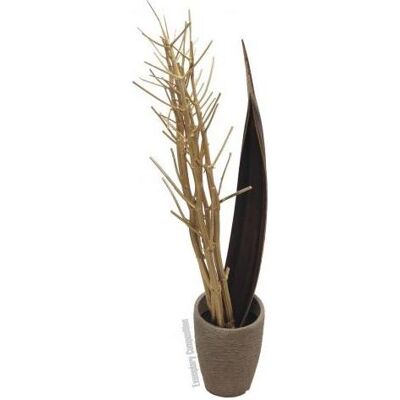 Europalms, Plantes artificielles, Bouquet de fenouil, séché, doré, 160cm (160 cm) - Publicité Europalms, Plantes artificielles, Bouquet de fenouil, séché, doré, 160cm (160 cm) - Publicité