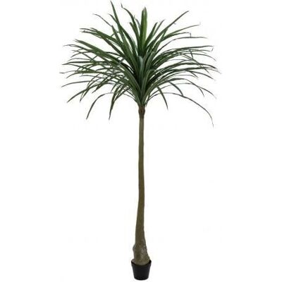 Europalms, Plantes artificielles, Dracena, artificiel, vert, 220cm (220 cm) - Publicité Europalms, Plantes artificielles, Dracena, artificiel, vert, 220cm (220 cm) - Publicité