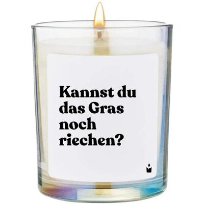 Chatty Candles, Bougie parfumée, Bougie parfumée Flowery Pouvez-vous encore sentir l'herbe? - Publicité Chatty Candles, Bougie parfumée, Bougie parfumée Flowery Pouvez-vous encore sentir l'herbe? - Publicité