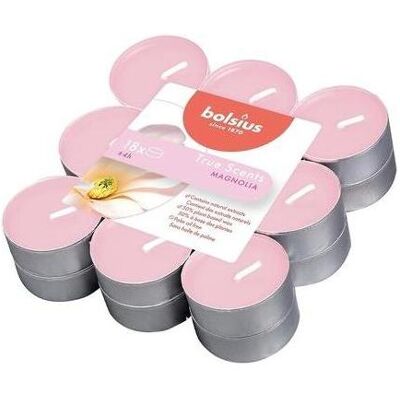 Bolsius, Bougie parfumée, Bougie à réchaud parfumée True Scents Magnolia 4 heures de combustion - Publicité Bolsius, Bougie parfumée, Bougie à réchaud parfumée True Scents Magnolia 4 heures de combustion - Publicité