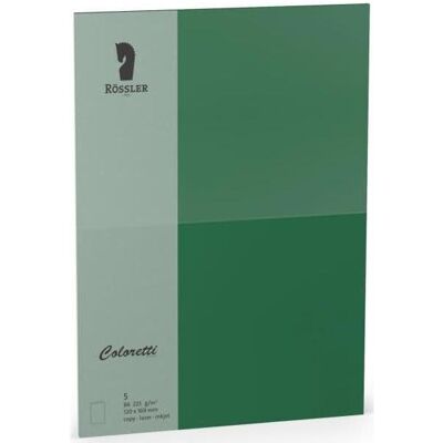 Rössler, Carte de vœux + papier à lettres, Coloretti Cartes B6 Forest en paquet de 5 non pliées à personnaliser (5 pcs) - Publicité Rössler, Carte de vœux + papier à lettres, Coloretti Cartes B6 Forest en paquet de 5 non pliées à personnaliser (5 pcs) - Publicité
