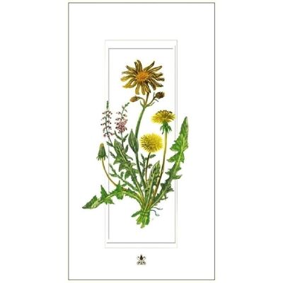 Davinci, Carte de vœux + papier à lettres, Karte 12x23cm + Umschlag Pusteblumen - Publicité Davinci, Carte de vœux + papier à lettres, Karte 12x23cm + Umschlag Pusteblumen - Publicité