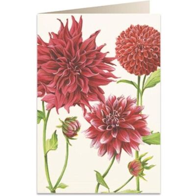 Tassotti, Carte de vœux + papier à lettres, Carte B6 + enveloppe 5545 Dahlia rouge - Publicité Tassotti, Carte de vœux + papier à lettres, Carte B6 + enveloppe 5545 Dahlia rouge - Publicité