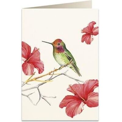 Tassotti, Carte de vœux + papier à lettres, B6 Karte + Umschlag 5998 Kolibri - Publicité Tassotti, Carte de vœux + papier à lettres, B6 Karte + Umschlag 5998 Kolibri - Publicité