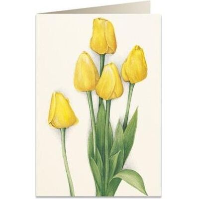 Tassotti, Carte de vœux + papier à lettres, B6 Karte + Umschlag 7516 Gelbe Tulpen - Publicité Tassotti, Carte de vœux + papier à lettres, B6 Karte + Umschlag 7516 Gelbe Tulpen - Publicité