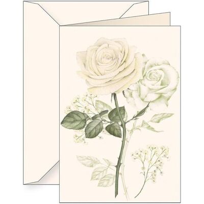 Tassotti, Carte de vœux + papier à lettres, Carte B6 + enveloppe 6164 Rose blanche - Publicité Tassotti, Carte de vœux + papier à lettres, Carte B6 + enveloppe 6164 Rose blanche - Publicité