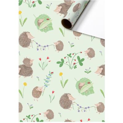 Stewo, Emballage cadeau, Geschenkpapier Riccio pastellgrün 70cmx2m (1x) - Publicité Stewo, Emballage cadeau, Geschenkpapier Riccio pastellgrün 70cmx2m (1x) - Publicité