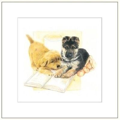 da Vinci, Carte de vœux + papier à lettres, Karte 16x16cm + Umschlag Gezeichnete Hunde - Publicité da Vinci, Carte de vœux + papier à lettres, Karte 16x16cm + Umschlag Gezeichnete Hunde - Publicité