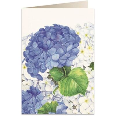 Tassotti, Carte de vœux + papier à lettres, Karte B6 + Umschlag 5549 Blaue Hortensie - Publicité Tassotti, Carte de vœux + papier à lettres, Karte B6 + Umschlag 5549 Blaue Hortensie - Publicité